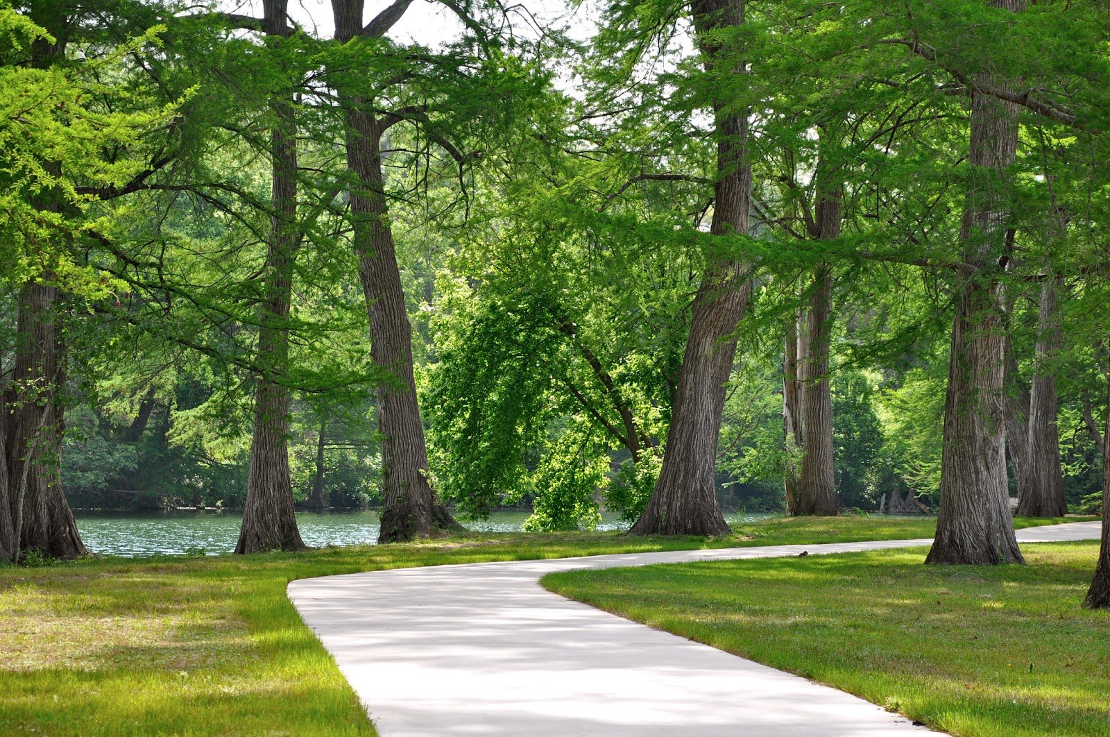 Guadalupe River Rentals Hill Country Vacation Rentals and RV